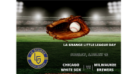 LGLL Day At The White Sox
